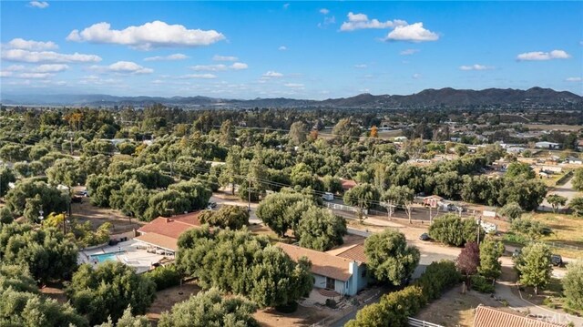 20813 Alameda Del Monte, Wildomar, CA 92595 - photo 10