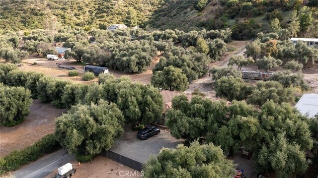 20813 Alameda Del Monte, Wildomar, CA 92595 - photo 9