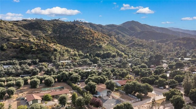 20813 Alameda Del Monte, Wildomar, CA 92595 - photo 8