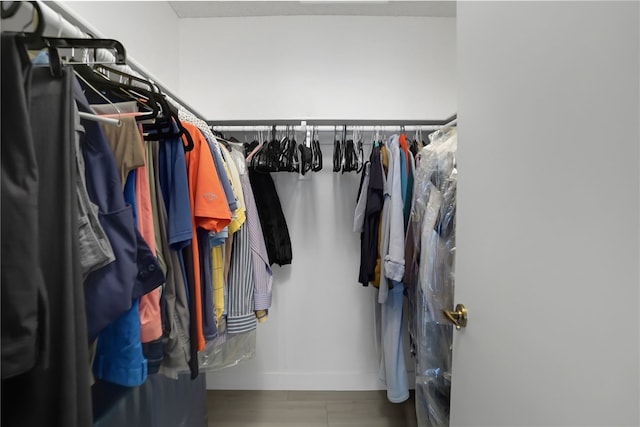view of walk in closet
