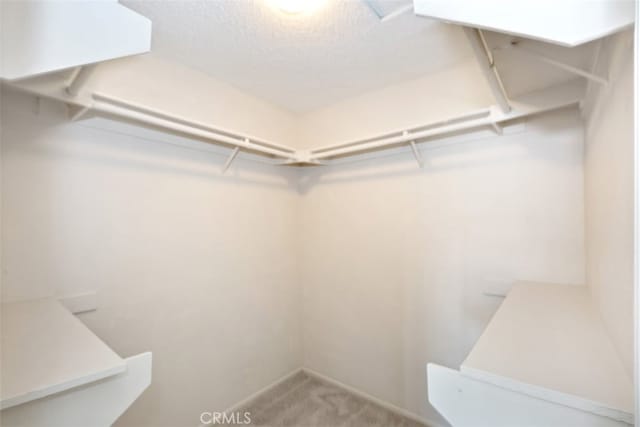 12963 Birch Glen Ct, Victorville, CA 92392 - walk in closet with light carpet