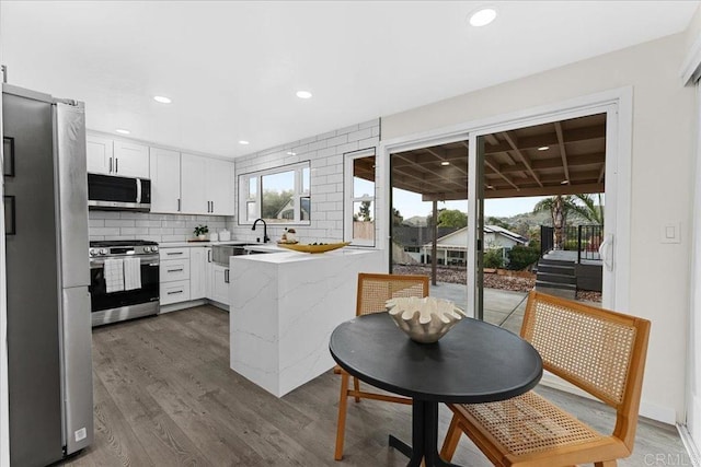 kitchen featuring decorative backsplash, stainless steel appliances, plenty of natural light, and a peninsula
