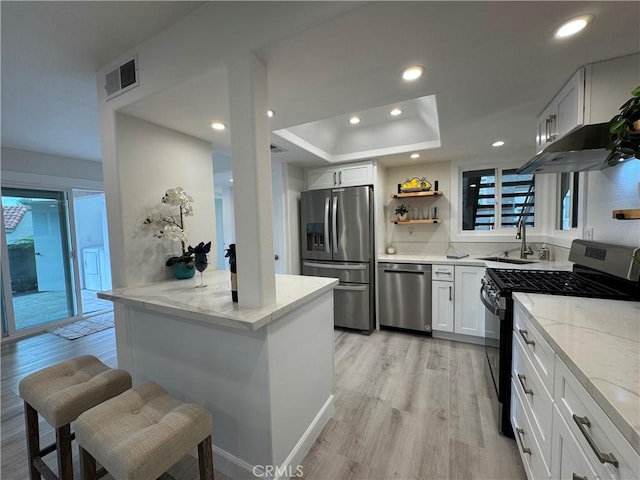 kitchen with light wood finished floors, a sink, light stone countertops, appliances with stainless steel finishes, and white cabinetry
