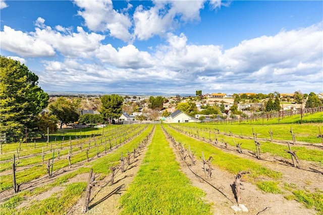 940 Walnut Dr, Paso Robles, CA 93446 - photo 69