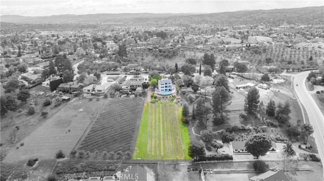 drone / aerial view