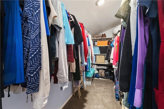 walk in closet with lofted ceiling and carpet floors