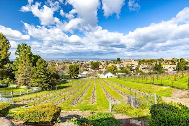 view of yard with fence and a rural view