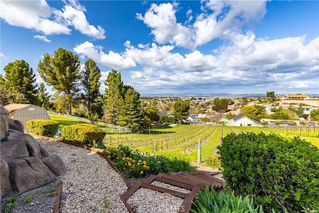 view of yard with fence and a rural view