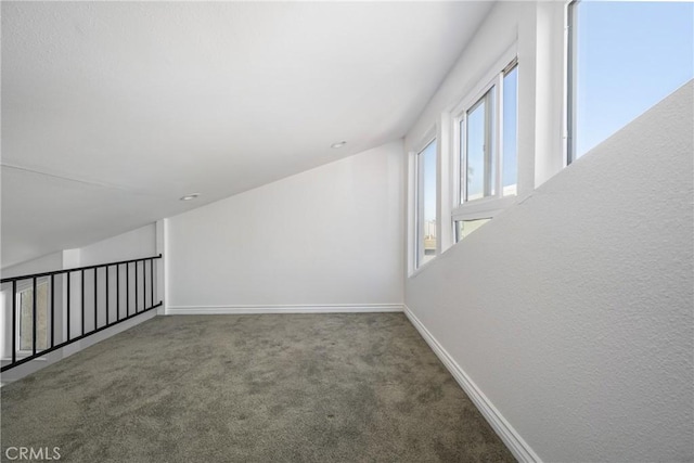 additional living space with baseboards and carpet floors