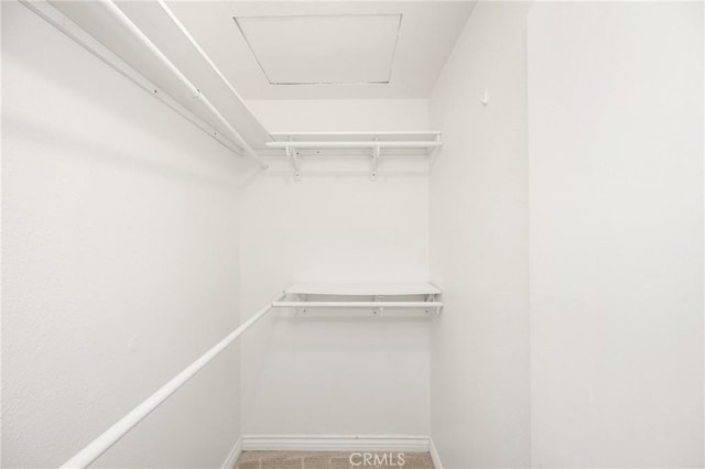 spacious closet with carpet