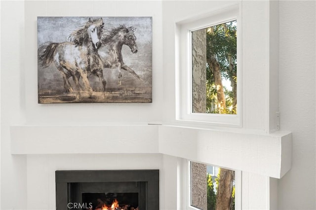 room details featuring a fireplace
