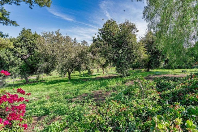 view of yard featuring fence