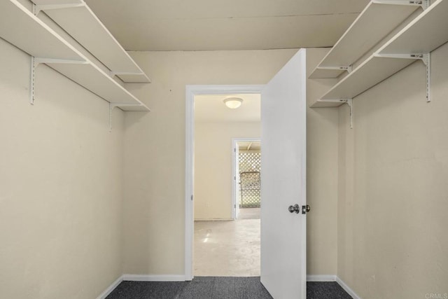 view of walk in closet