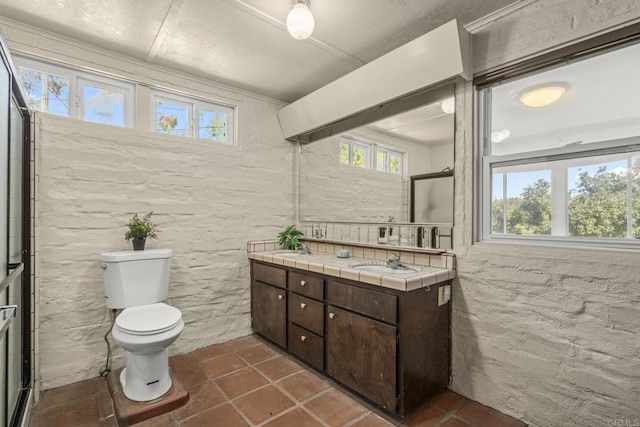 full bathroom featuring a sink, toilet, double vanity, and a healthy amount of sunlight