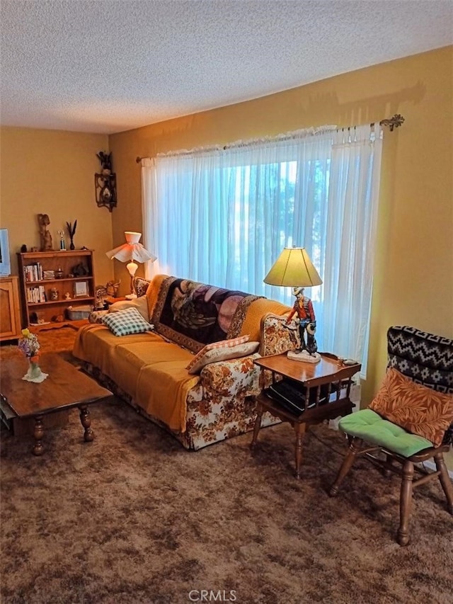 carpeted living room with a textured ceiling