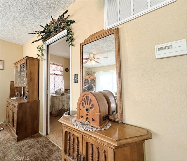 details with carpet flooring, a textured ceiling, a ceiling fan, visible vents, and a sink