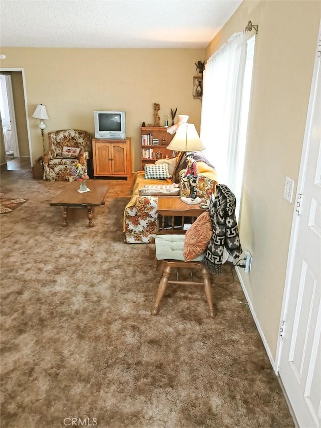 living room with carpet
