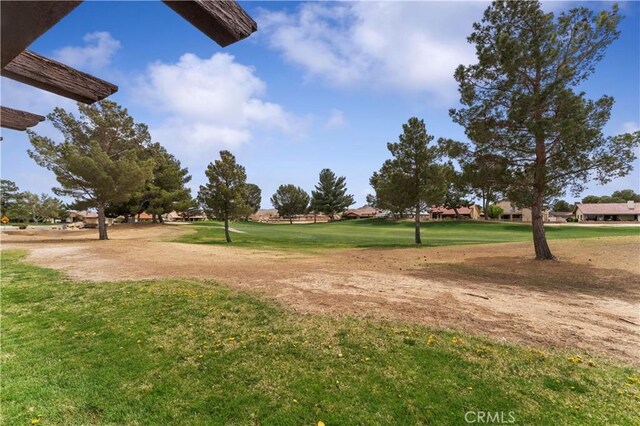 15171 Blue Grass Dr, Helendale, CA 92342 - photo 17