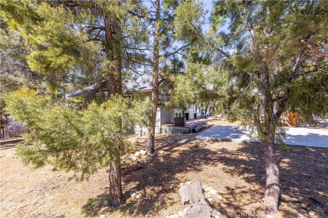 196 Sunset Ln, Sugarloaf, CA 92386 - view of yard