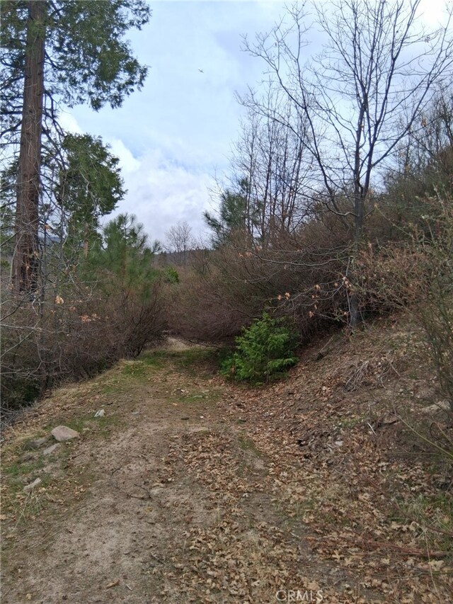 0 Pine Dr, Cedar Glen, CA 92321