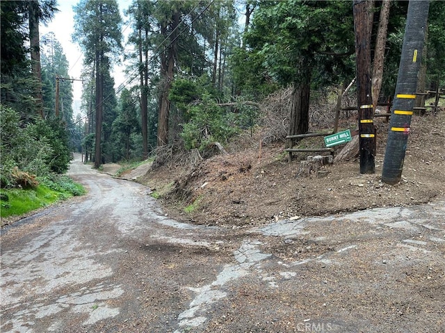 0 El Valle Rd, Cedarpines Park, CA 92322 - photo 1