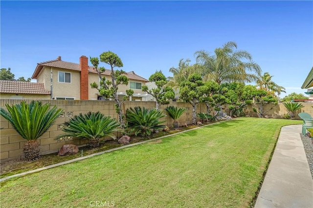 view of yard with a fenced backyard
