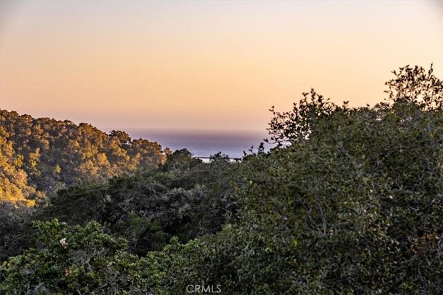 2865 Rock Wren Ln, Avila Beach, CA 93424 - view of nature at dusk