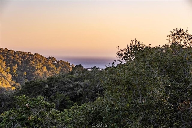 2865 Rock Wren Ln, Avila Beach, CA 93424 - view of local wilderness