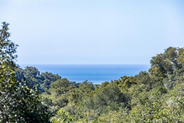 2865 Rock Wren Ln, Avila Beach, CA 93424 - water view
