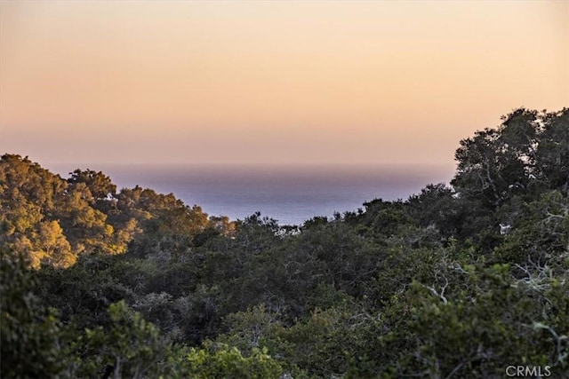2865 Rock Wren Ln, Avila Beach, CA 93424 - nature at dusk with a wooded view