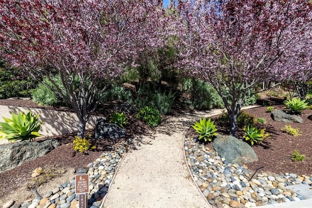2865 Rock Wren Ln, Avila Beach, CA 93424 - view of yard