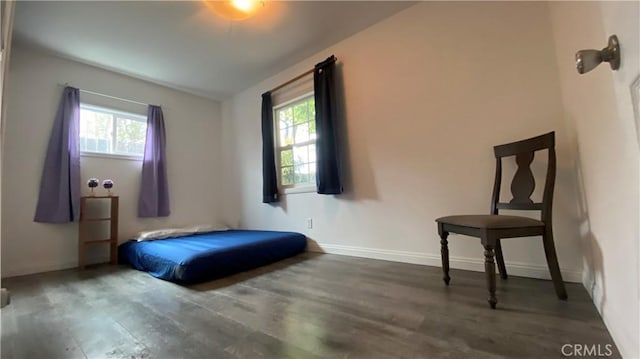 bedroom featuring multiple windows, wood finished floors, and baseboards