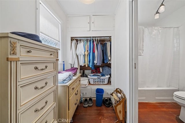 walk in closet featuring wood finished floors
