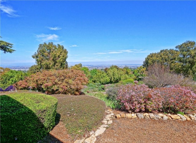 57 Saddleback Rd, Rolling Hills, CA 90274 - photo 44