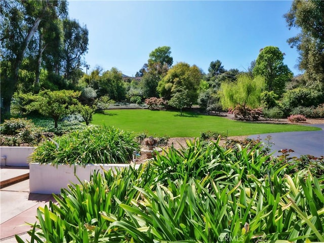 57 Saddleback Rd, Rolling Hills, CA 90274 - photo 38