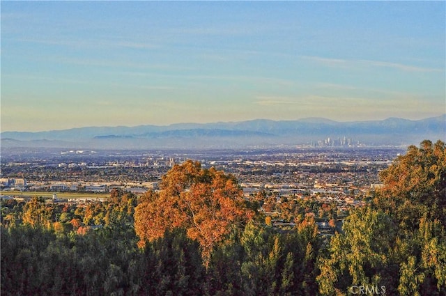 57 Saddleback Rd, Rolling Hills, CA 90274 - photo 9