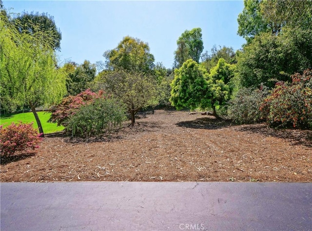 57 Saddleback Rd, Rolling Hills, CA 90274 - photo 41