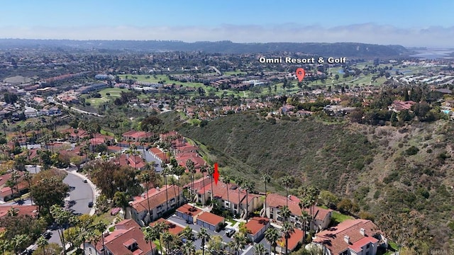 3116 Vista Bonita, Carlsbad, CA 92009 - birds eye view of property