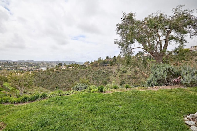 3116 Vista Bonita, Carlsbad, CA 92009 - view of yard