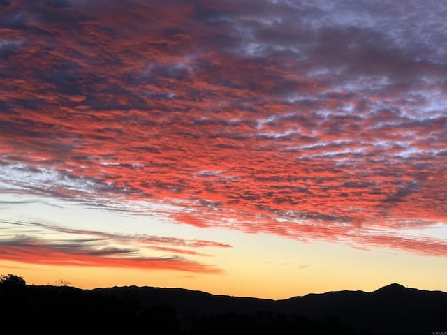 25770 E Grade Rd, Santa Ysabel, CA 92070 - view of mountain background