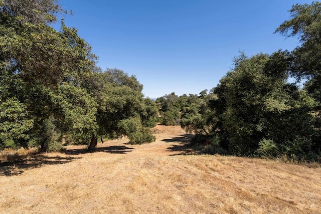 25770 E Grade Rd, Santa Ysabel, CA 92070 - view of wooded area