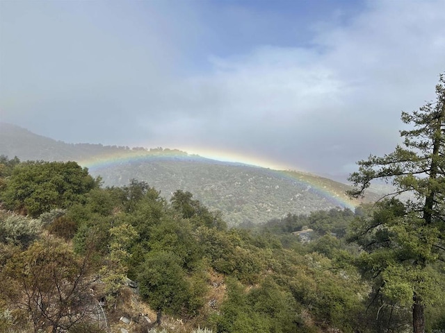 25770 E Grade Rd, Santa Ysabel, CA 92070 - view of mountain backdrop featuring a heavily wooded area