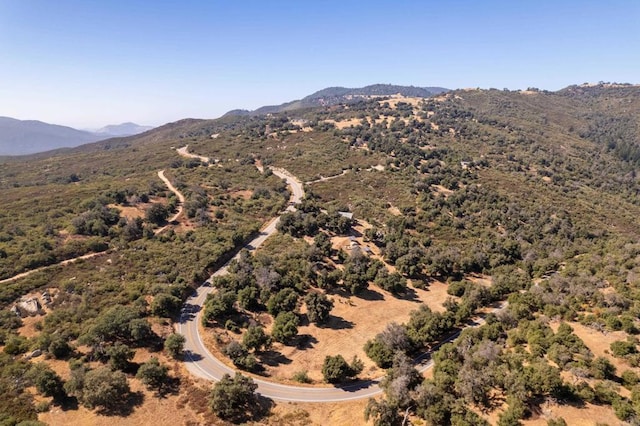25770 E Grade Rd, Santa Ysabel, CA 92070 - mountain view