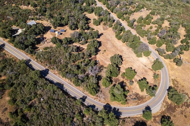 25770 E Grade Rd, Santa Ysabel, CA 92070 - aerial view of property and surrounding area
