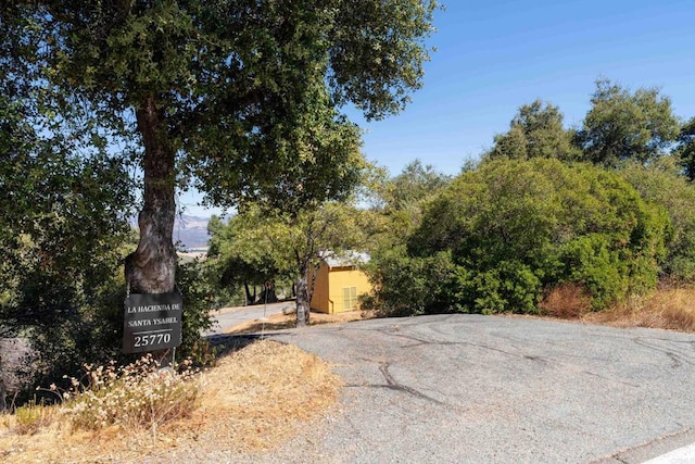 25770 E Grade Rd, Santa Ysabel, CA 92070 - view of asphalt driveway