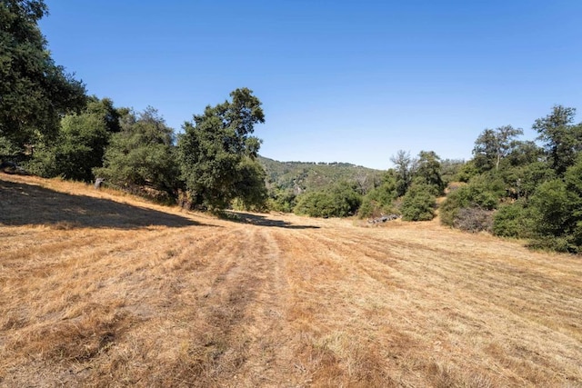 25770 E Grade Rd, Santa Ysabel, CA 92070 - view of tree filled area with a rural view