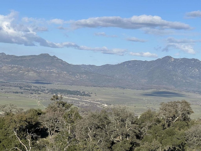 25770 E Grade Rd, Santa Ysabel, CA 92070 - view of mountain background