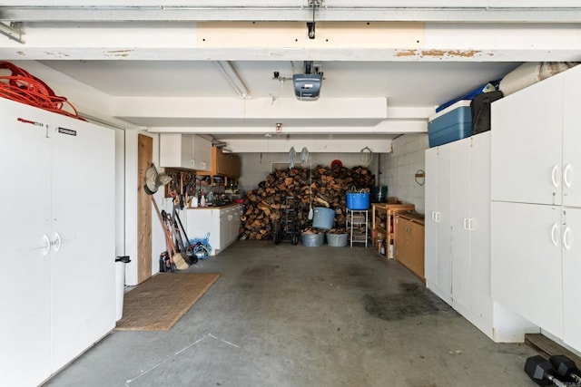 25770 E Grade Rd, Santa Ysabel, CA 92070 - garage featuring a garage door opener