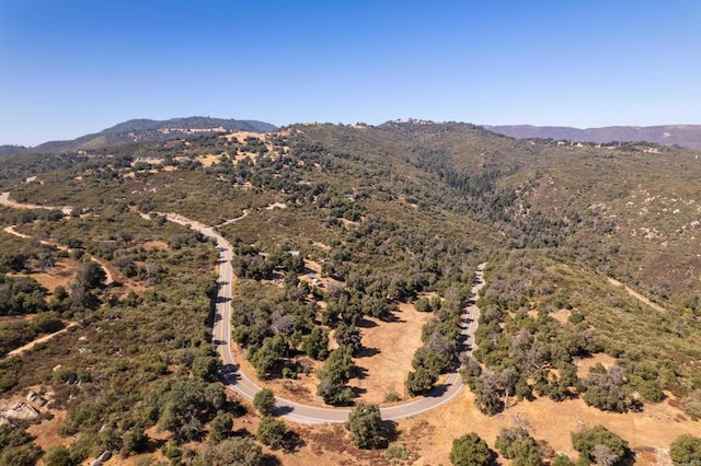 25770 E Grade Rd, Santa Ysabel, CA 92070 - aerial view of mountains