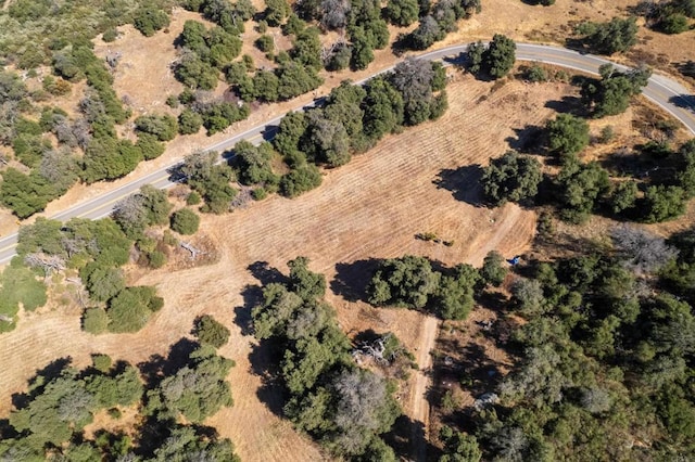 25770 E Grade Rd, Santa Ysabel, CA 92070 - aerial view of property and surrounding area featuring rural landscape